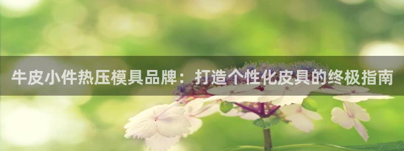 emc易倍官网app：牛皮小件热压模具品牌：打造个性化皮