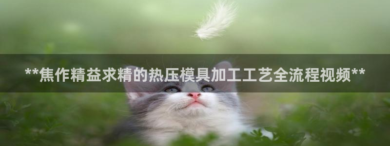 易倍企业管理软件怎么样：**焦作精益求精的热压模具加工工