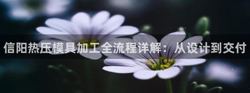 emc易倍下载：信阳热压模具加工全流程详解：从设计到交付