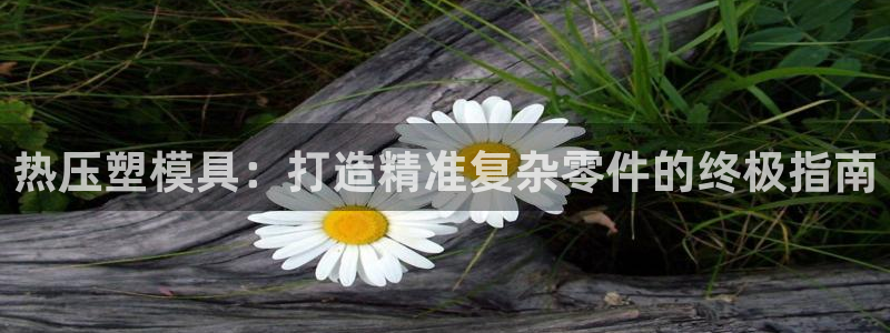 易倍申多少钱