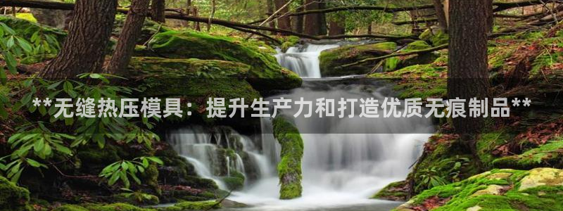 易倍达科技有限公司代运营：**无缝热压模具：提升生产力和