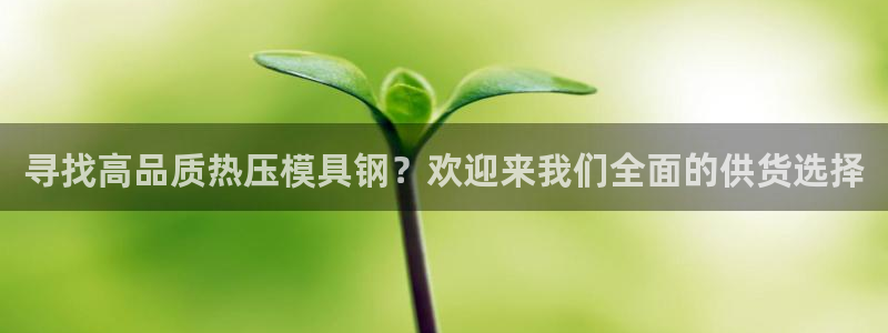 易倍网页版登录:寻找高品质热压模具钢?欢迎来我们全面的供
