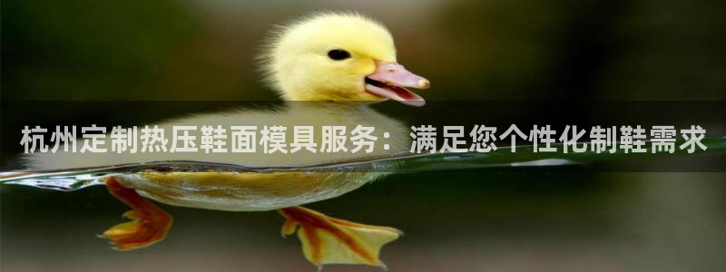 emc倍频干扰怎么解决：杭州定制热压鞋面模具服务：满足您
