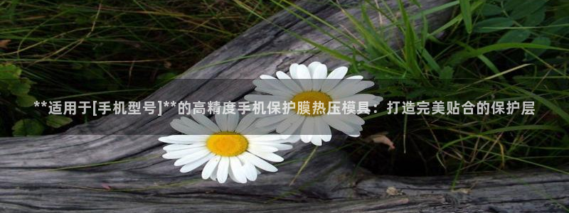 易倍网络技术有限公司是干嘛的：**适用于[手机型号]**