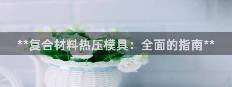 emc倍频干扰怎么解决：**复合材料热压模具：全面的指南