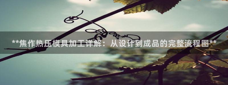 EMC易倍让身份验证
