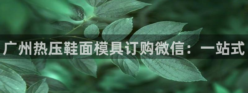 emc app下载