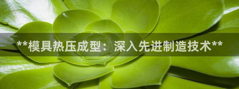 易倍易倍单词官方网站：**模具热压成型：深入先进制造技术