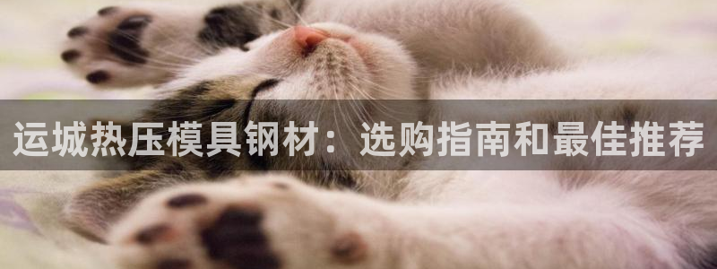 易倍企业管理软件怎么样