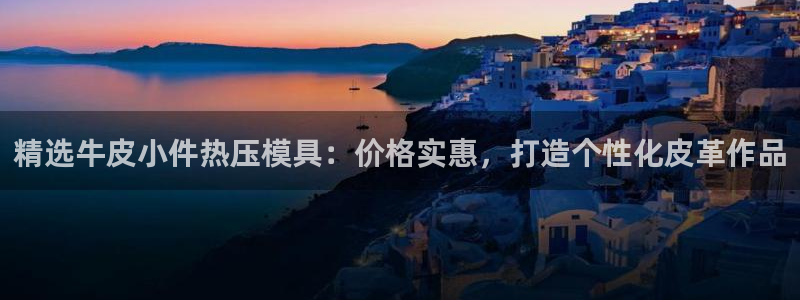 易倍申和易倍清的区别：精选牛皮小件热压模具：价格实惠，打