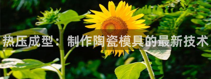 易倍emc安全吗