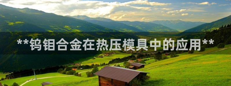易倍下载地址：**钨钼合金在热压模具中的应用**