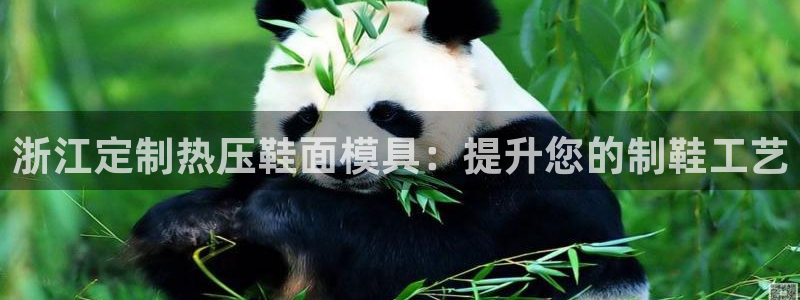 易倍emc网址网页版本登陆：浙江定制热压鞋面模具：提升您
