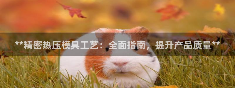 易倍申厂家：**精密热压模具工艺：全面指南，提升产品质量