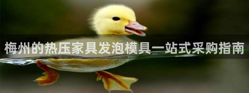 易倍申怎么样