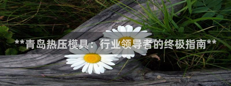 emc易倍全站：**青岛热压模具：行业领导者的终极指南*