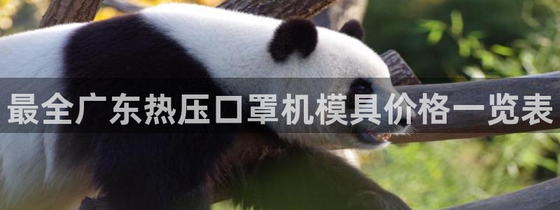 易倍纤多少钱