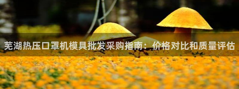 易倍思怎么样