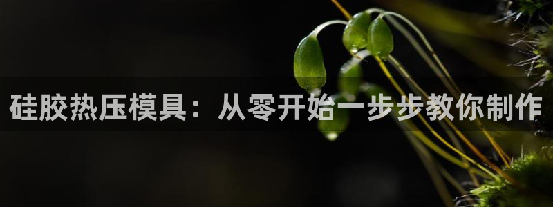 EMC易倍让身份验证
