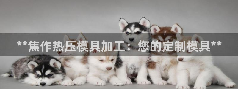emc易倍网页版：**焦作热压模具加工：您的定制模具**