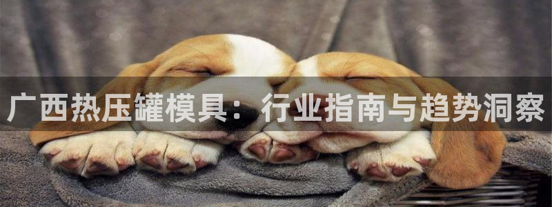 易倍网络技术有限公司是干嘛的