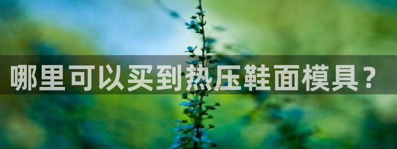 EMC倍频系数