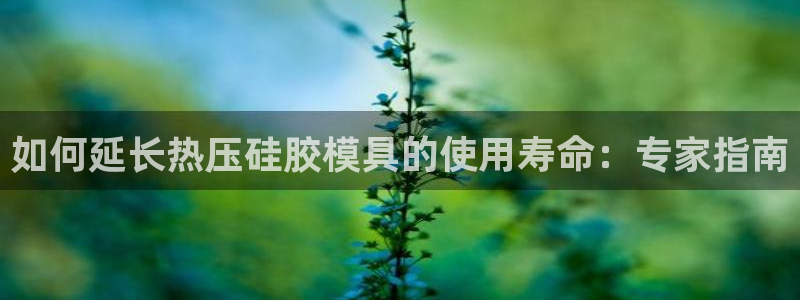 易倍申在中国成功上市：如何延长热压硅胶模具的使用寿命：专