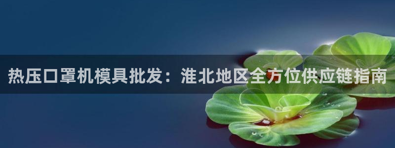 易倍申的价格：热压口罩机模具批发：淮北地区全方位供应链指