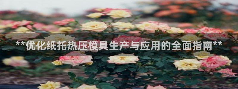 emc易倍电竞：**优化纸托热压模具生产与应用的全面指南