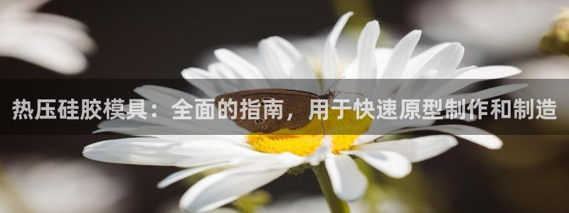 北京易倍思教育科技有限公司：热压硅胶模具：全面的指南，用