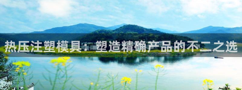emc 倍频：热压注塑模具：塑造精确产品的不二之选