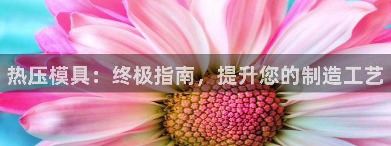 易倍申在中国成功上市