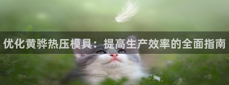 易倍申不良反应：优化黄骅热压模具：提高生产效率的全面指南
