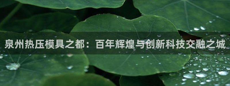 易倍申的副作用：泉州热压模具之都：百年辉煌与创新科技交融