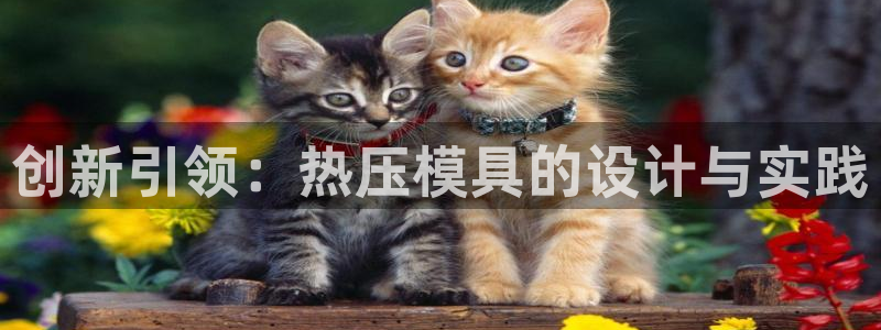 杭州易倍达上班怎么样：创新引领：热压模具的设计与实践