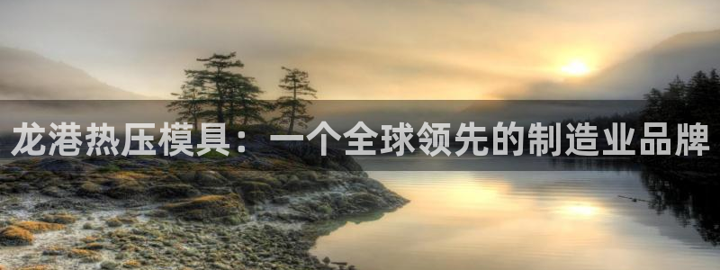 易倍申片能长期服用吗：龙港热压模具：一个全球领先的制造业