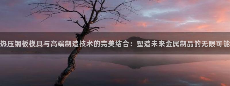 emc易倍官网app官网：热压钢板模具与高端制造技术的完