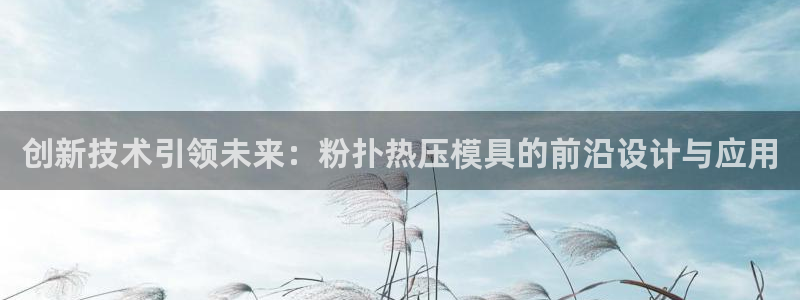 易倍纤奶昔减肥效果怎么样：创新技术引领未来：粉扑热压模具