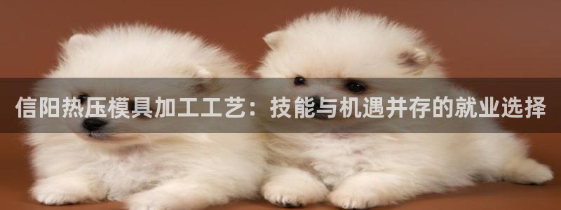 EMC易倍：信阳热压模具加工工艺：技能与机遇并存的就业选