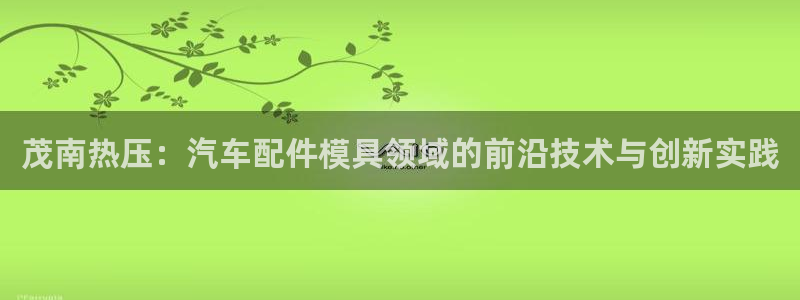 易倍科华生物科技有限公司：茂南热压：汽车配件模具领域的前