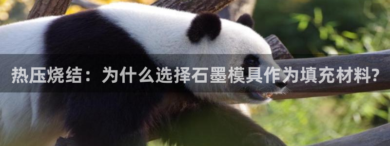 易倍申和易倍清的区别：热压烧结：为什么选择石墨模具作为填