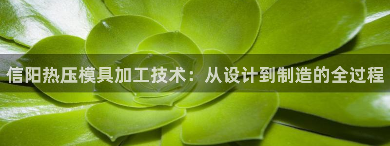 易倍达科技有限公司：信阳热压模具加工技术：从设计到制造的