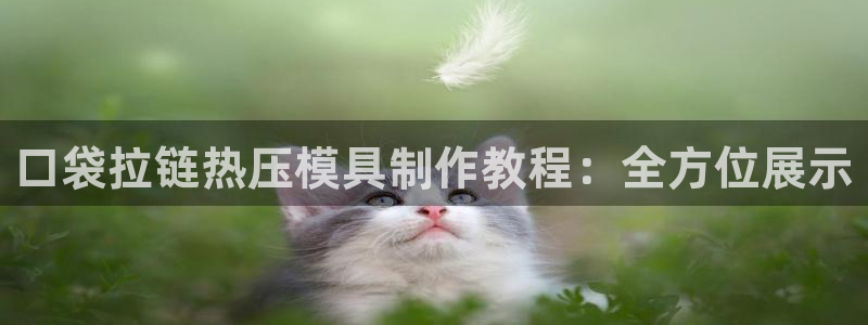 易倍纤价格：口袋拉链热压模具制作教程：全方位展示