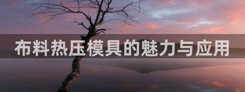 emc倍频干扰怎么解决：布料热压模具的魅力与应用