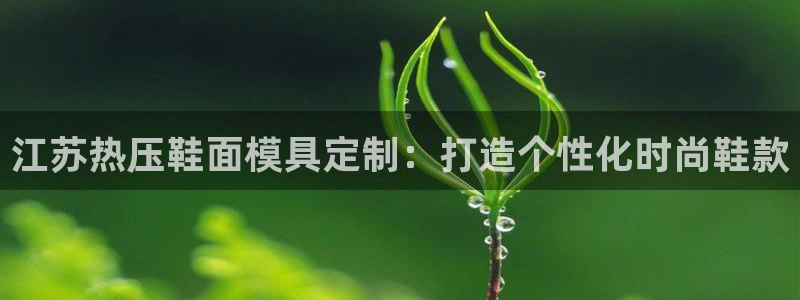 南京易倍易电子科技有限公司：江苏热压鞋面模具定制：打造个