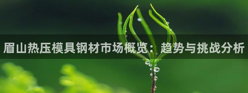 emc易倍官方：眉山热压模具钢材市场概览：趋势与挑战分析