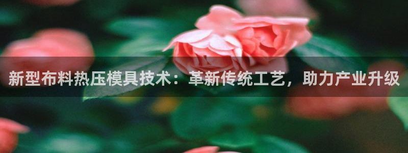 易倍申医保报销：新型布料热压模具技术：革新传统工艺，助力