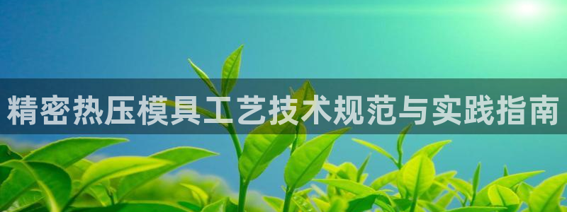 易倍企业管理软件怎么样：精密热压模具工艺技术规范与实践指