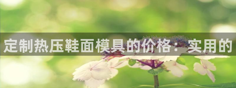 EMC倍频原理：定制热压鞋面模具的价格：实用的