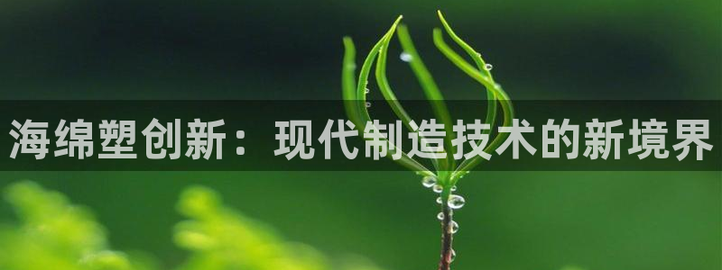 emc易贝体育怎么样：海绵塑创新：现代制造技术的新境界